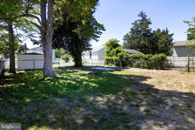 a view of a yard with plants and trees