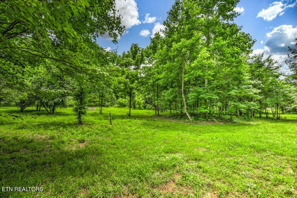 Stone Ridge Drive Andersonville, TN 37705 - Photo 17 of 19 96