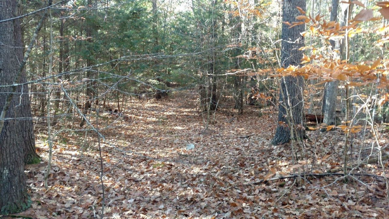 1 Salisbury Road, Unit 661 Mont Vernon, NH 03057 - Photo 3 of 7 Gallery Image 3