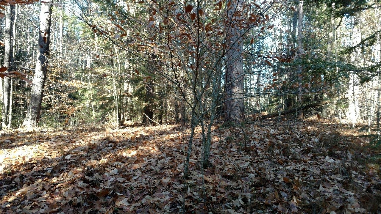 1 Salisbury Road, Unit 661 Mont Vernon, NH 03057 - Photo 4 of 7 Gallery Image 4