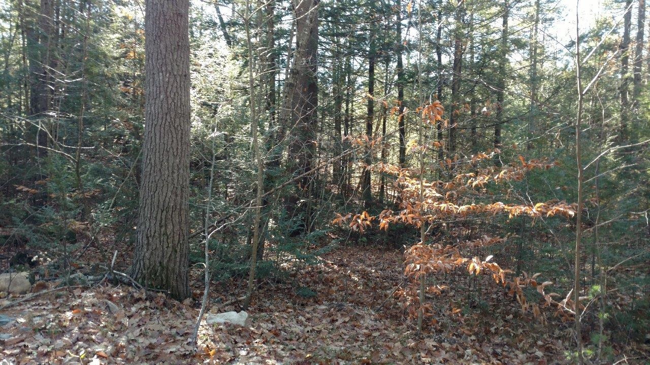 1 Salisbury Road, Unit 661 Mont Vernon, NH 03057 - Photo 7 of 7 Gallery Image 7
