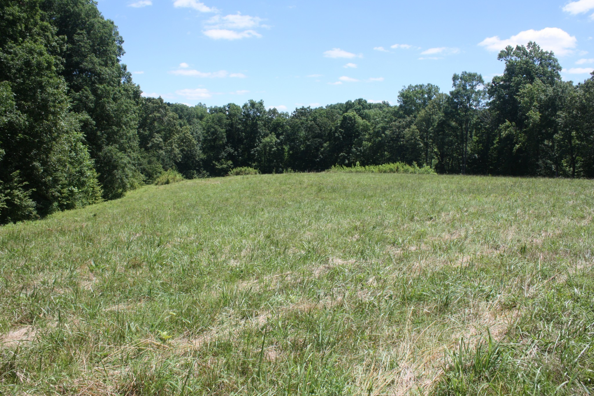 7636 Caney Fork Road Fairview, TN 37062 - Photo 23 of 32 Gallery Image 23