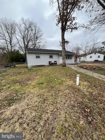 a big yard with tree s
