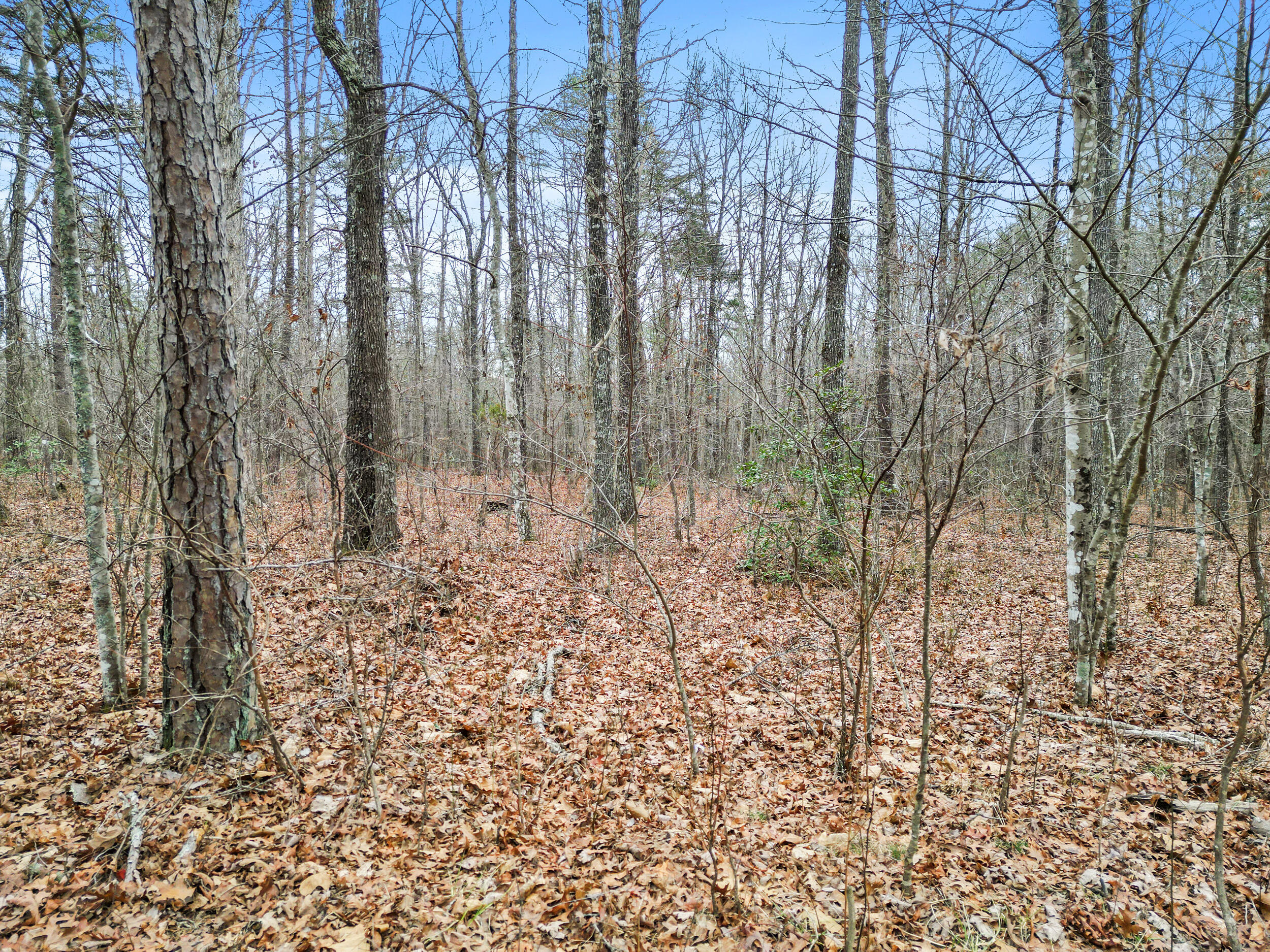 0 Mountain Place Road, Unit 16 Dunlap, TN 37327 - Photo 1 of 16 dji_0824