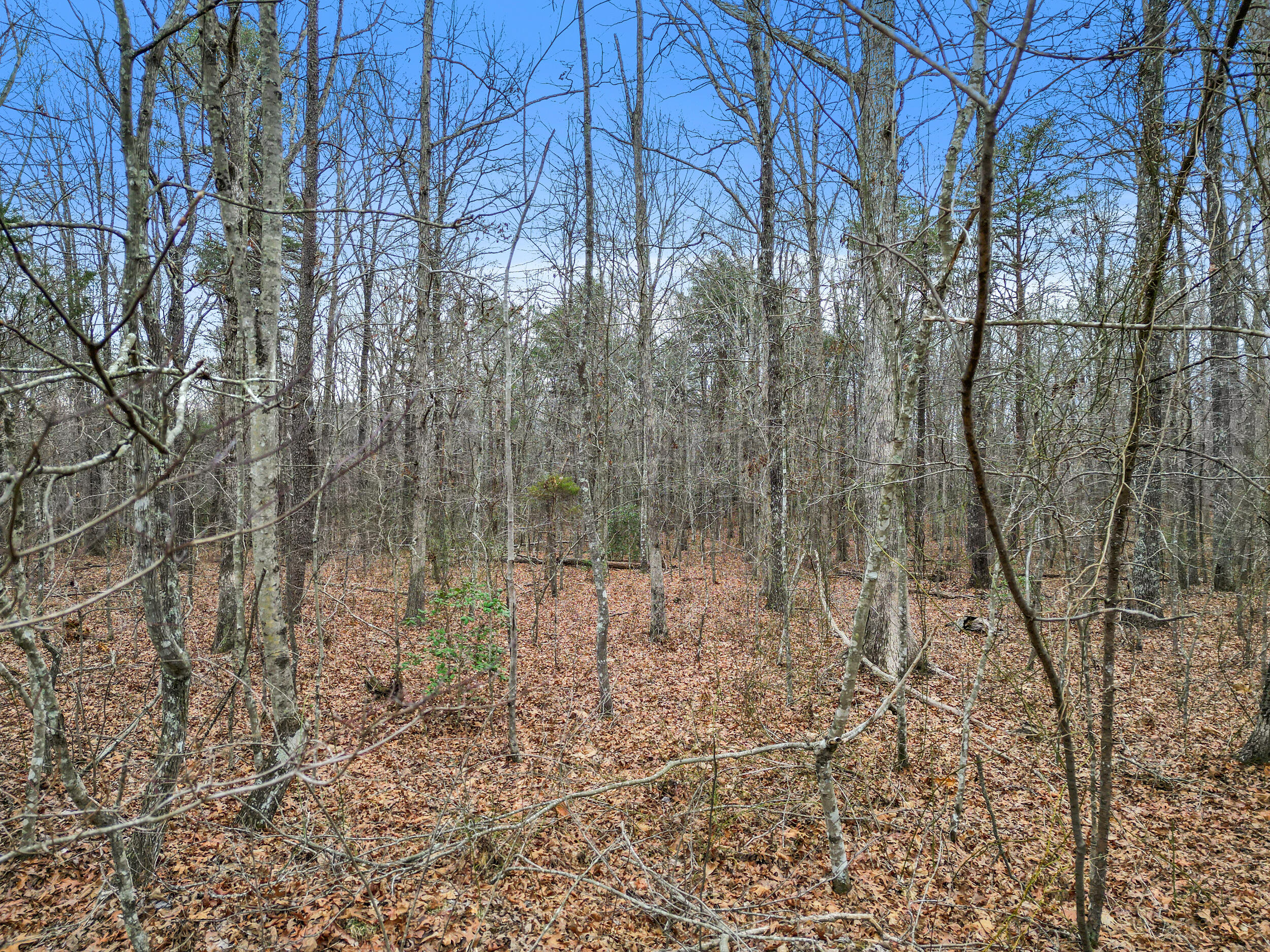 0 Mountain Place Road, Unit 16 Dunlap, TN 37327 - Photo 2 of 16 dji_0812
