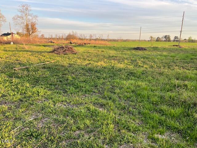 From the back of property