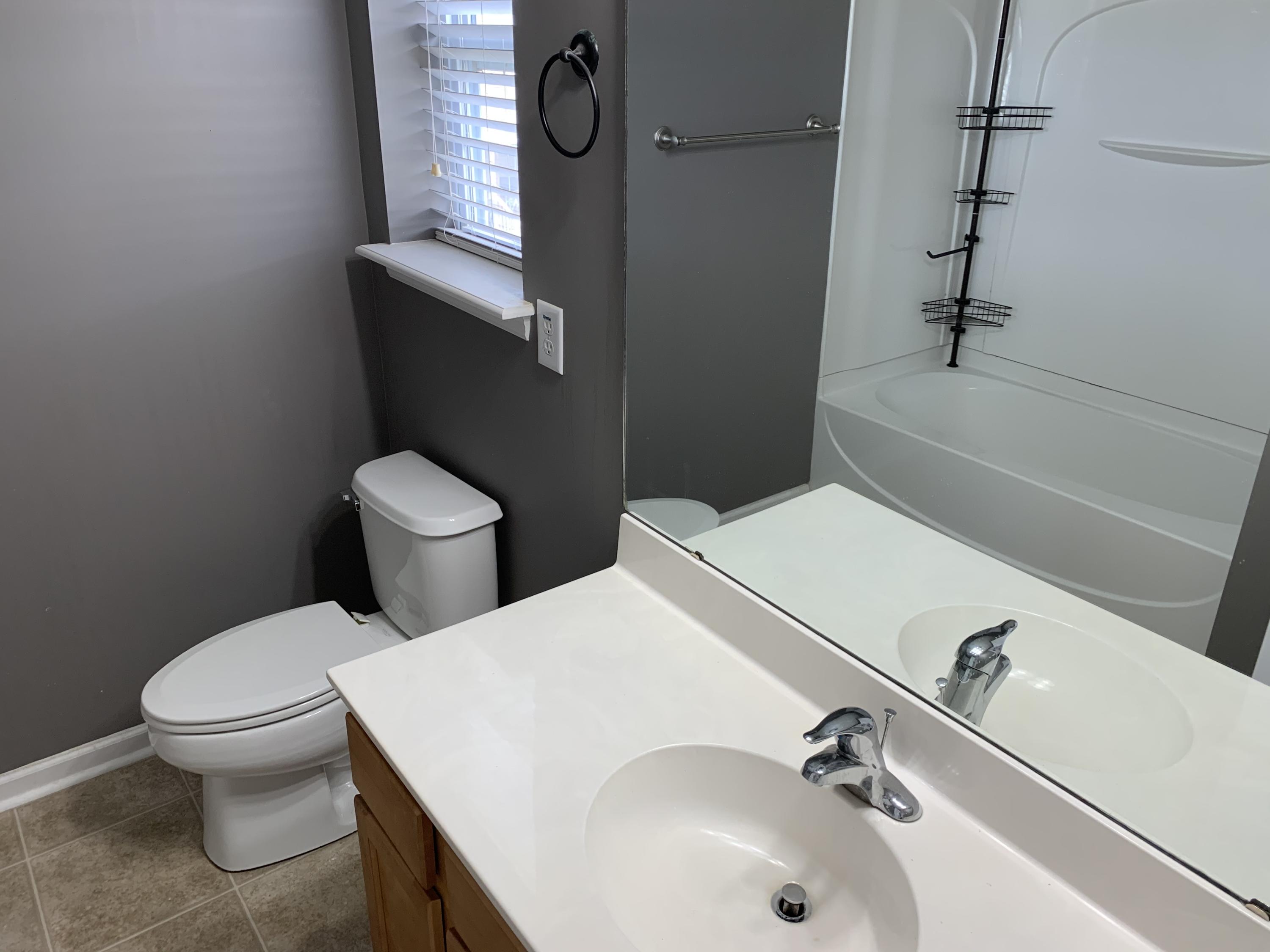 483 Doane Way Wando, SC 29492 - Photo 8 of 16 Master Bath