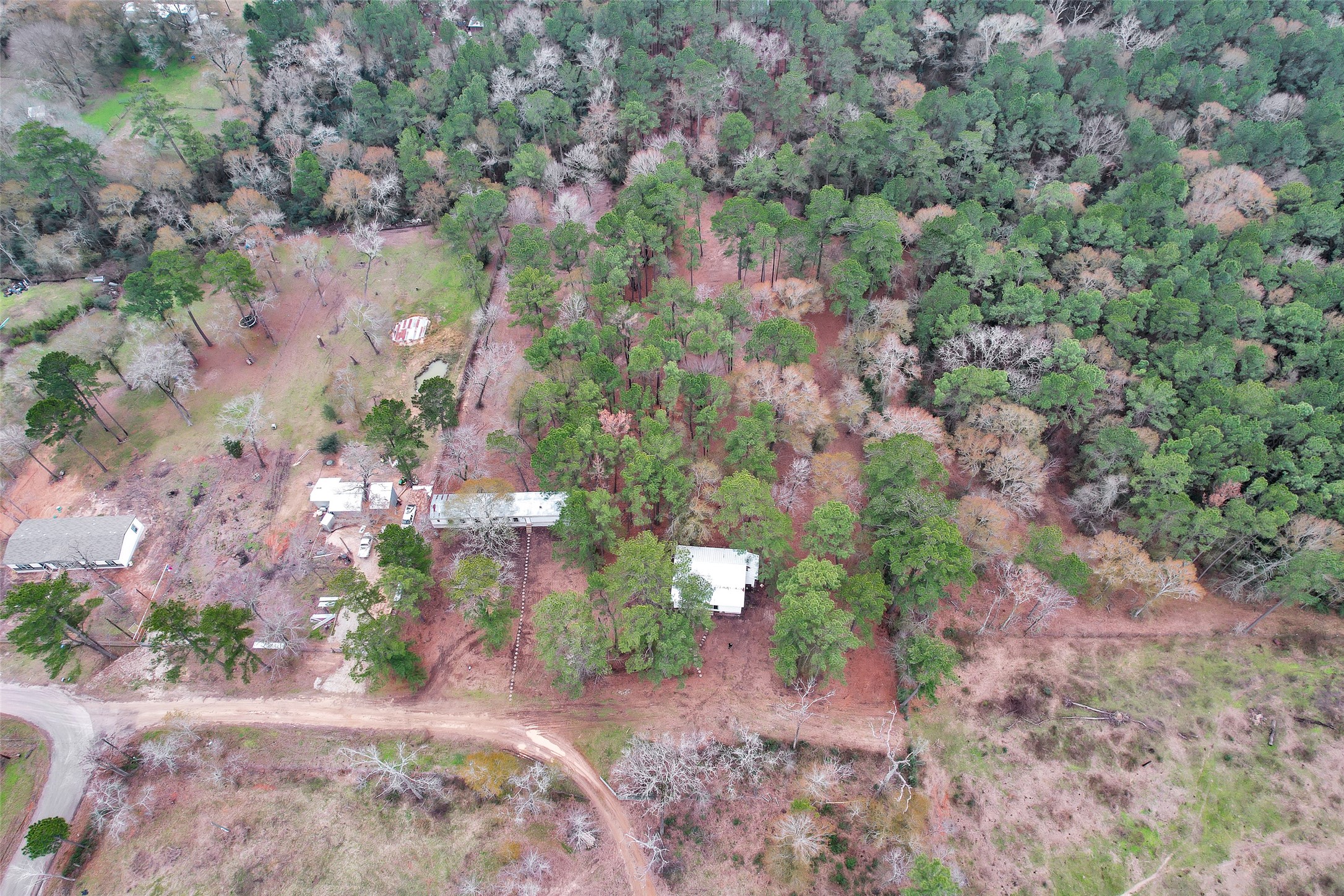 4794 Tall Pine Road Navasota, TX 77868 - Photo 6 of 34 a view of a pathway both side of yard
