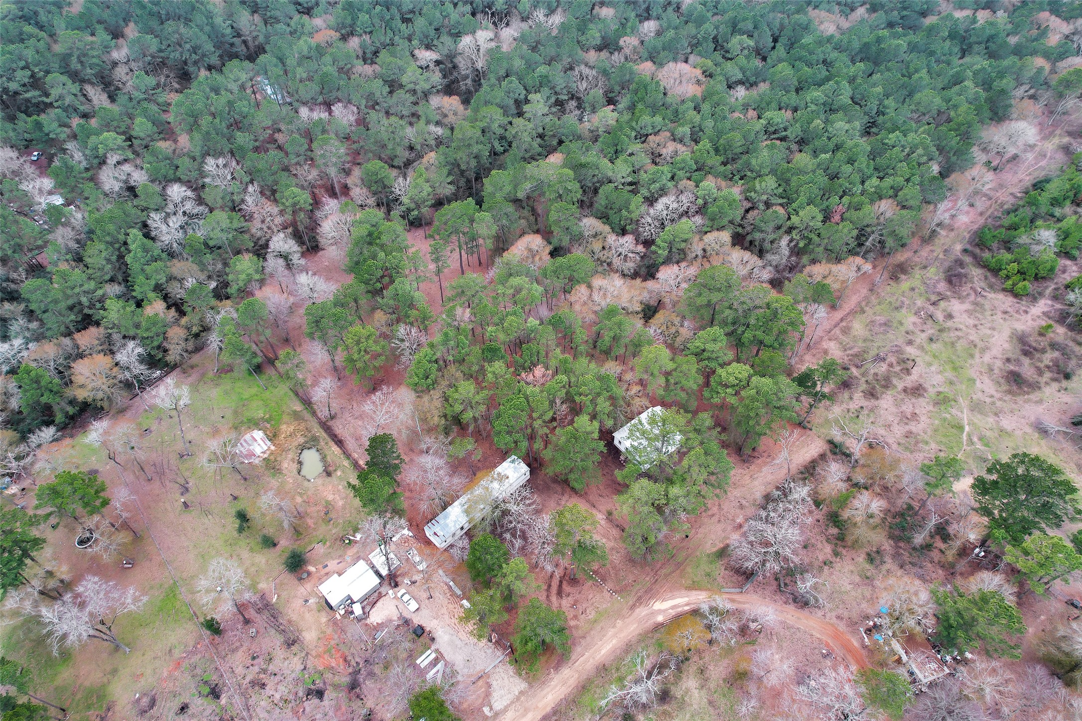 4794 Tall Pine Road Navasota, TX 77868 - Photo 7 of 34 a view of a plant with a tree