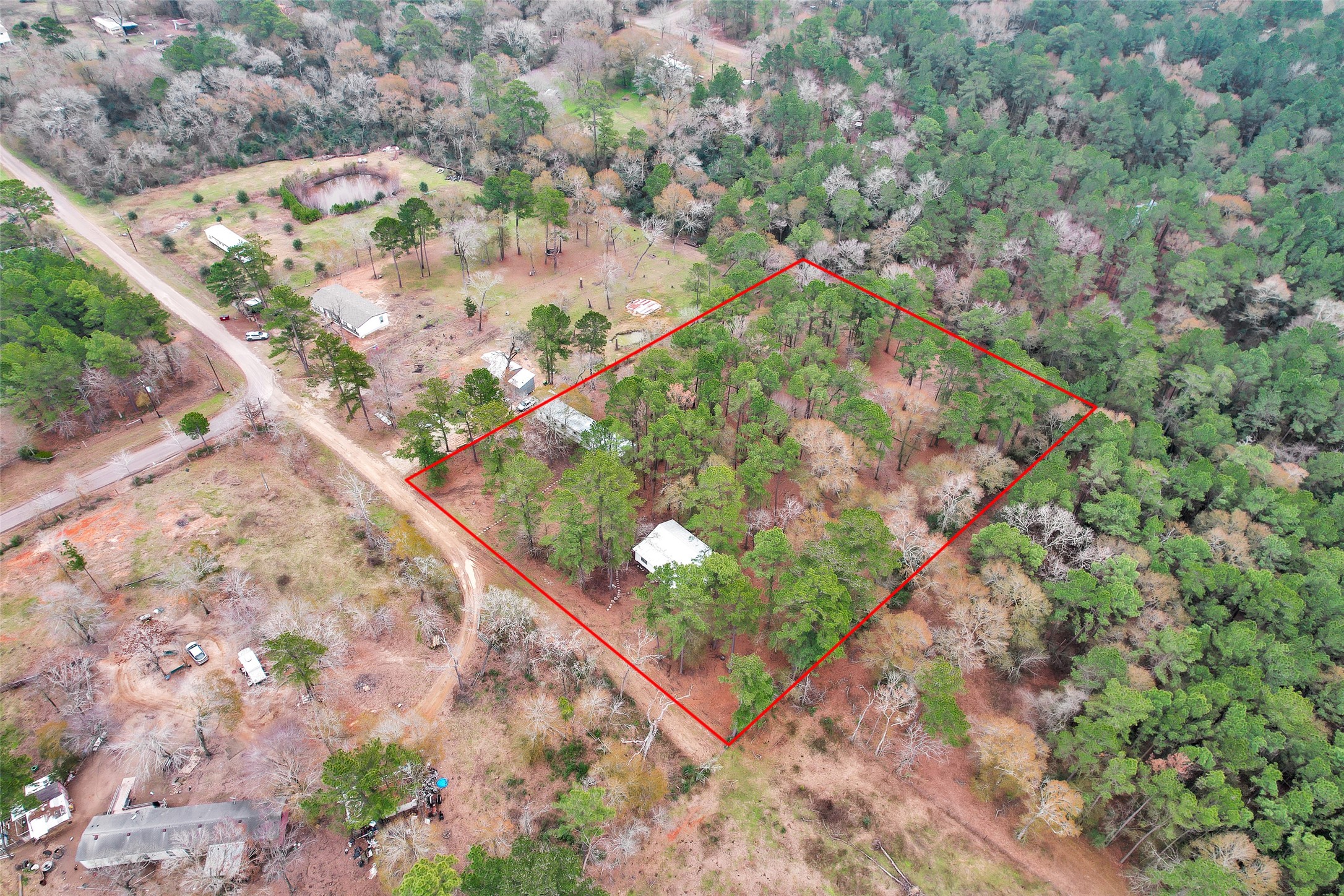 4794 Tall Pine Road Navasota, TX 77868 - Photo 8 of 34 a view of a garden