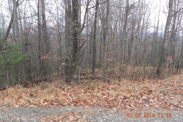 300 C C Hayes Road Purlear, NC 28665 - Photo 23 of 44