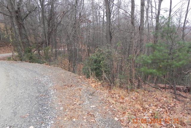 300 C C Hayes Road Purlear, NC 28665 - Photo 24 of 44