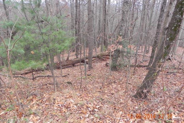 300 C C Hayes Road Purlear, NC 28665 - Photo 25 of 44