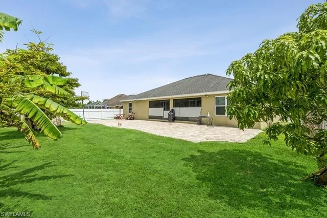 a view of a palm trees in a park