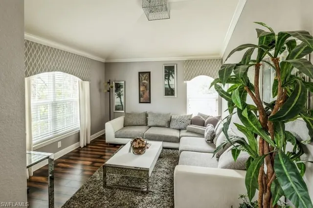 a living room with furniture and a potted plant