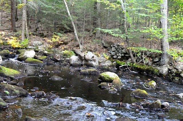 125 Sawyer Road Wells, ME 04090 - Photo 4 of 35 Along 4000' of river frontage