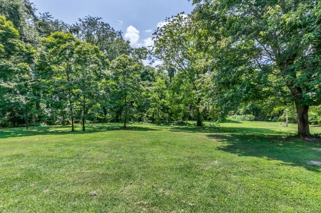 a view of a big yard with a trees