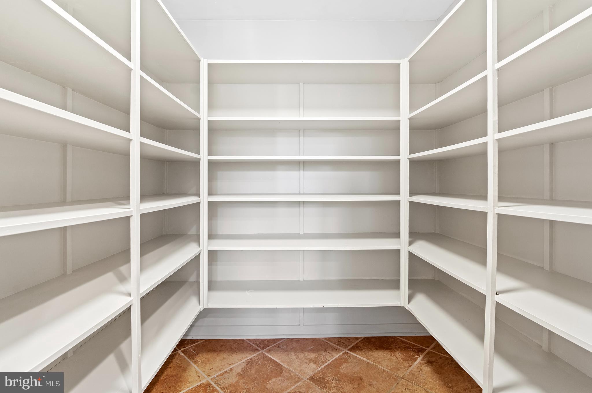 856 St Edmonds Place Annapolis, MD 21401 - Photo 50 of 129 a view of walk in closet with empty racks