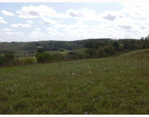 333 Pleasant Valley Road Washington, PA 15301 - Photo 13 of 17 Land.