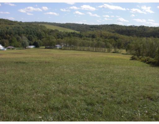 333 Pleasant Valley Road Washington, PA 15301 - Photo 15 of 17 Land.