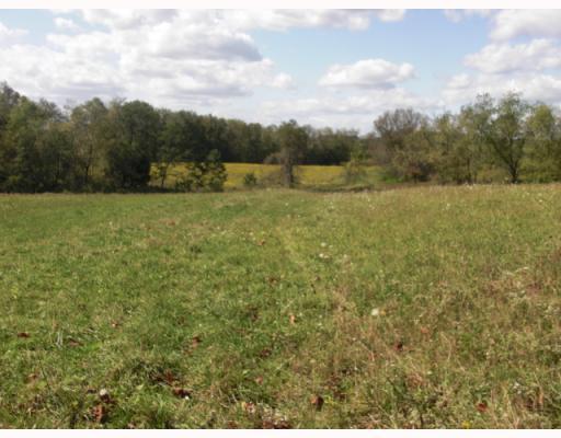 333 Pleasant Valley Road Washington, PA 15301 - Photo 16 of 17 Land/Lot.