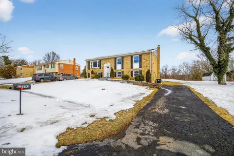 a view of road with large trees