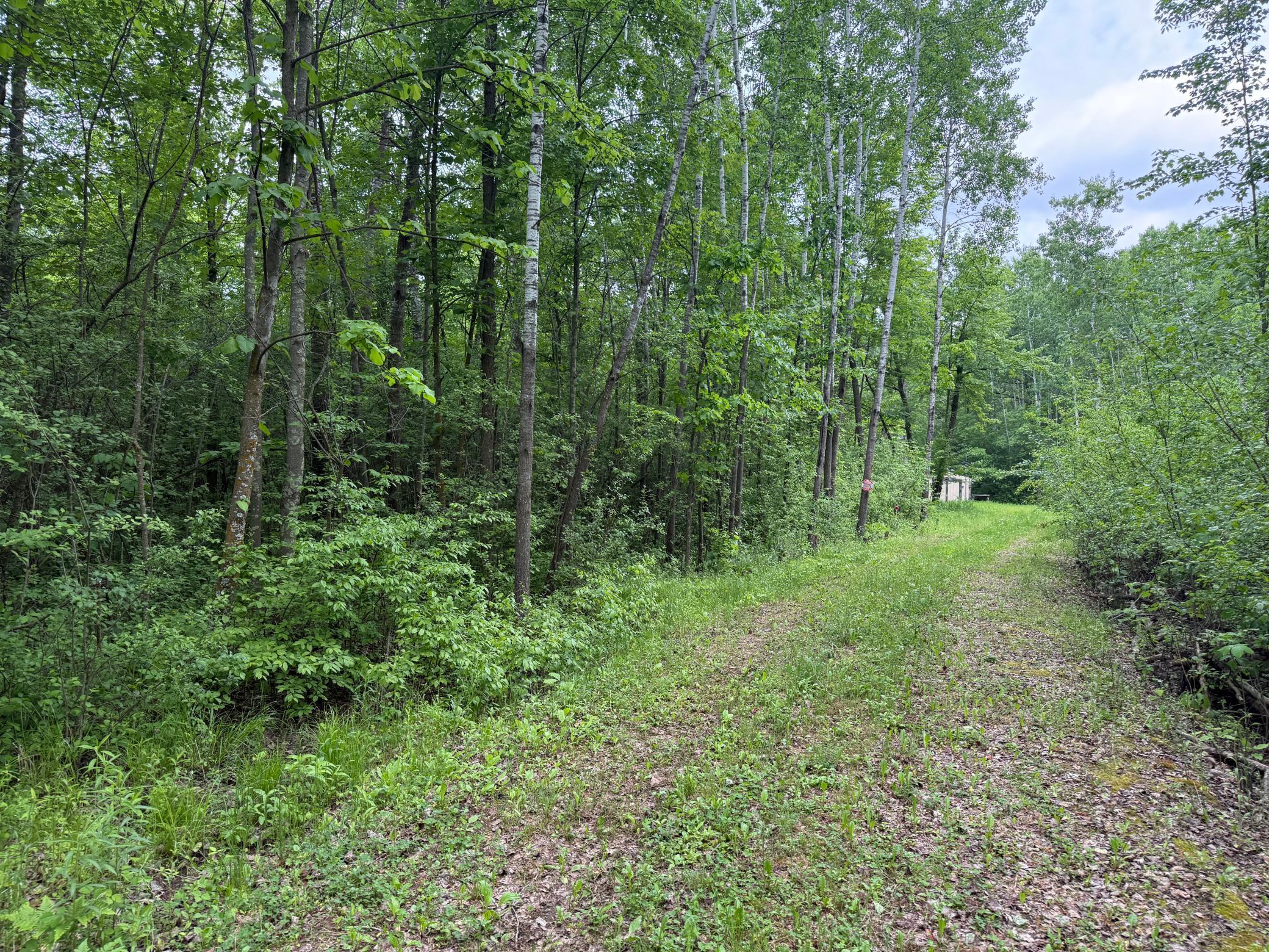 10551 Mallard Road Brook Park, MN 55007 - Photo 5 of 44