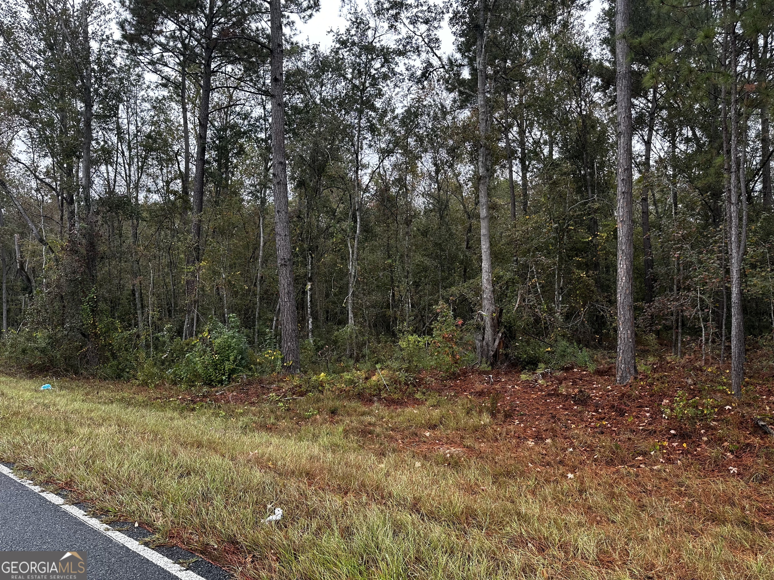 0 Erick Road Alamo, GA 30411 - Photo 1 of 6