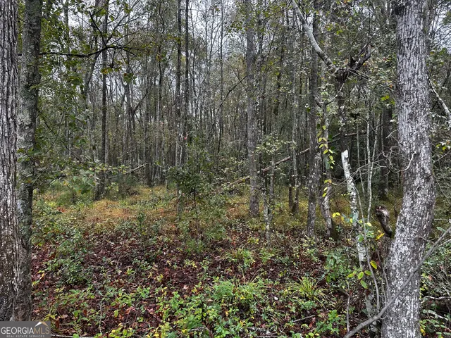 $97,875 | 0 Erick Road, Alamo, GA 30411