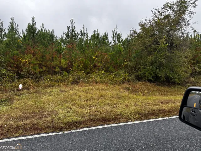 $97,875 | 0 Erick Road, Alamo, GA 30411