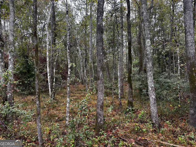 $97,875 | 0 Erick Road, Alamo, GA 30411