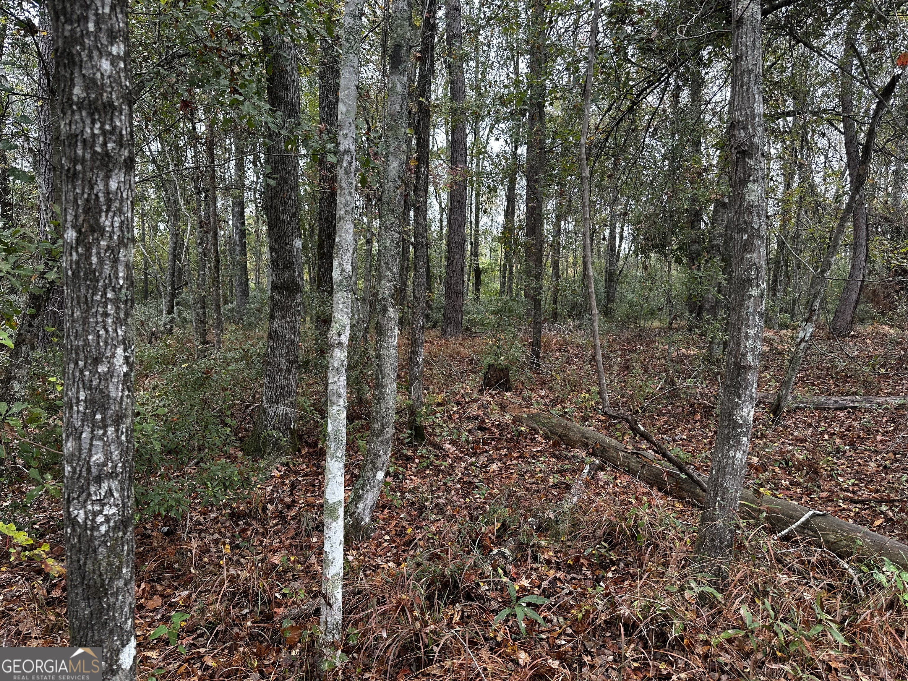 0 Erick Road Alamo, GA 30411 - Photo 5 of 6