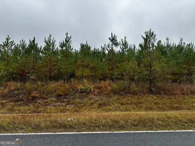 $97,875 | 0 Erick Road, Alamo, GA 30411