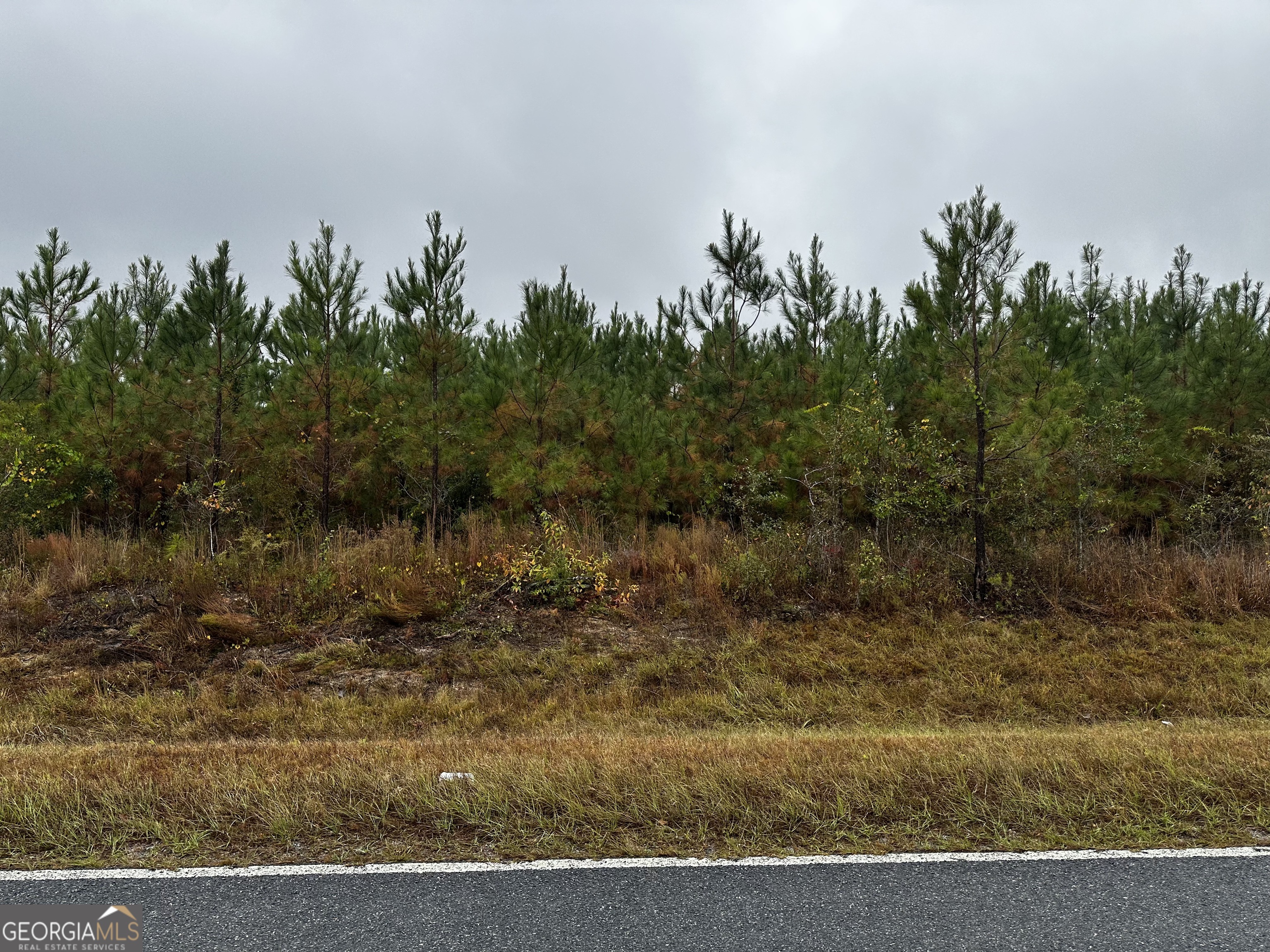 0 Erick Road Alamo, GA 30411 - Photo 6 of 6