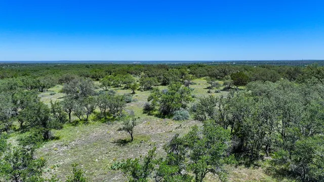 a view of a green field with lots of bushes