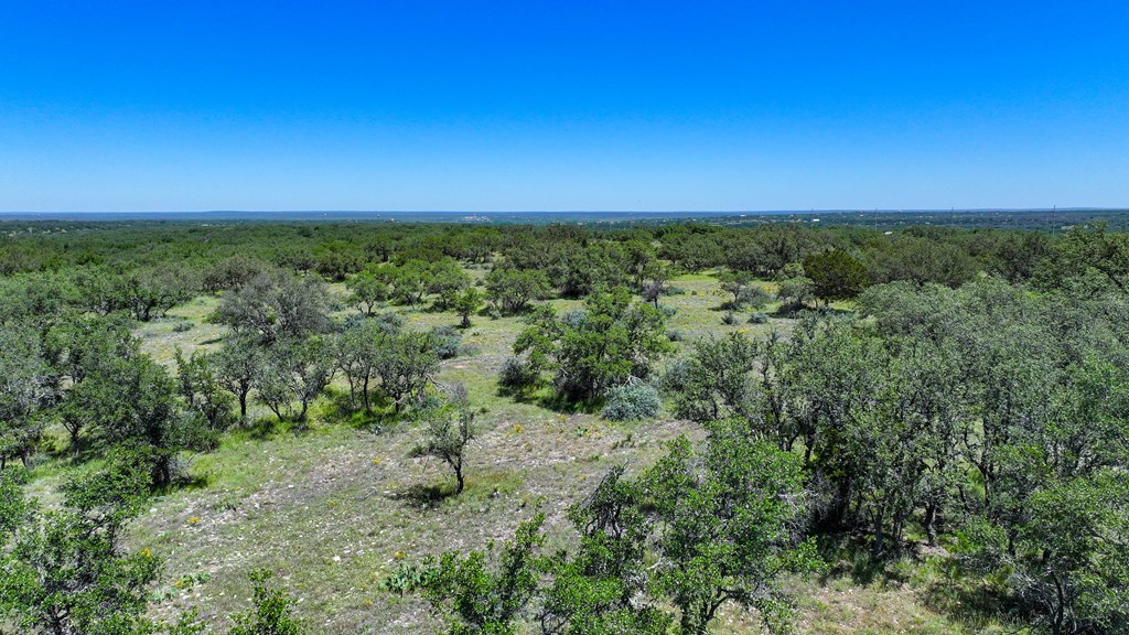 2291 Ranch Road Menard, TX 76859 - Photo 3 of 11 a view of a green field with lots of bushes