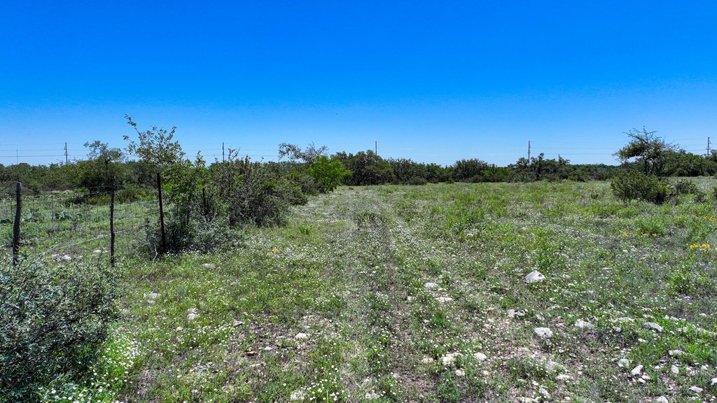 2291 Ranch Road Menard, TX 76859 - Photo 8 of 11 a view of a lush green outdoor space with a swimming pool and valleys in the background