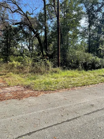 a view of a yard with a tree
