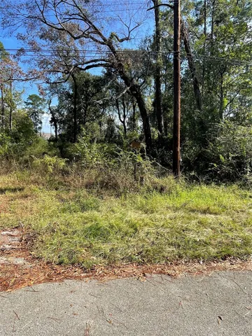 a view of outdoor space with trees