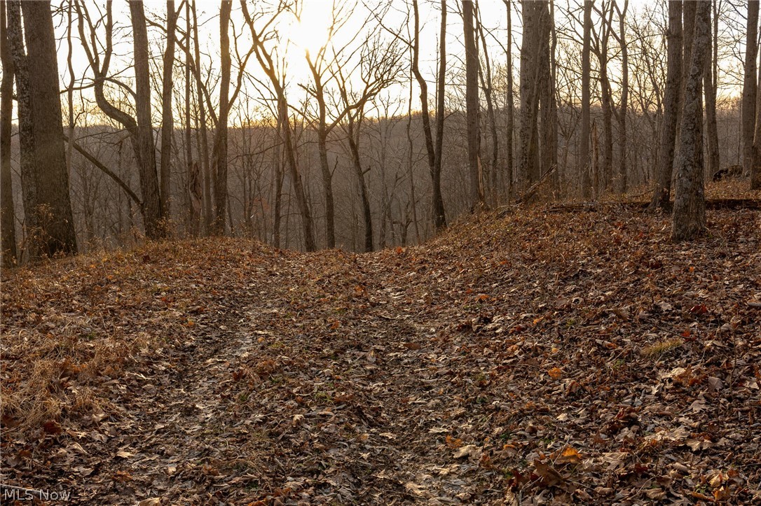 32290 Bailey Run Road Pomeroy, OH 45769 - Photo 15 of 41