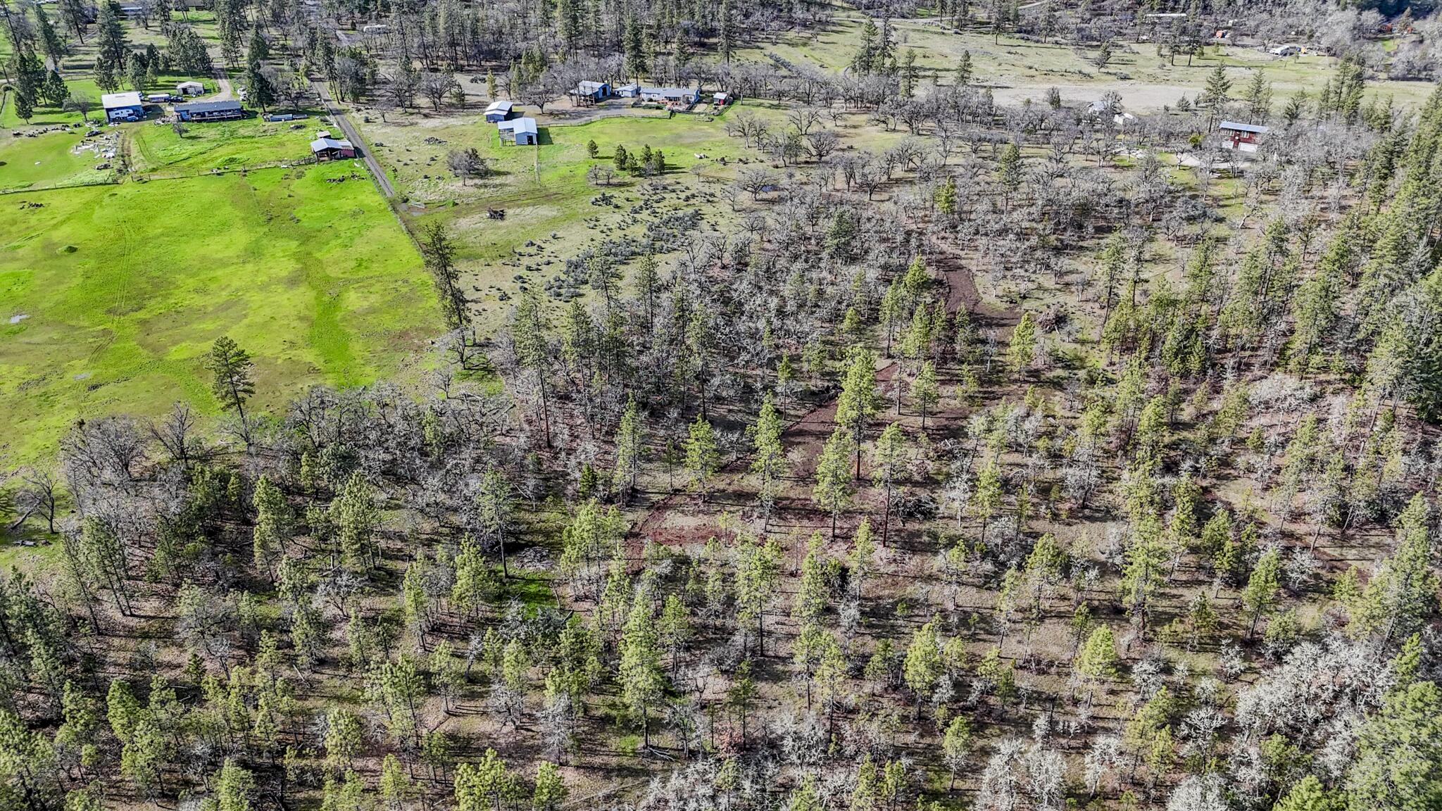506 Greenleaf Drive Eagle Point, OR 97524 - Photo 13 of 38 DJI_20260227135713_0516_D-HDR