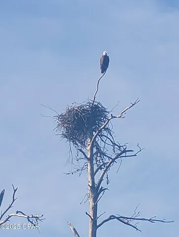 $375,000 | 4958 Lake Ridge Drive, Chipley, FL 32428