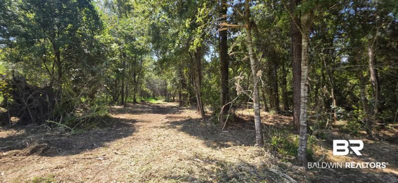 21373 Ima Brill Road Robertsdale, AL 36567 - Photo 3 of 25 Gallery Image 3