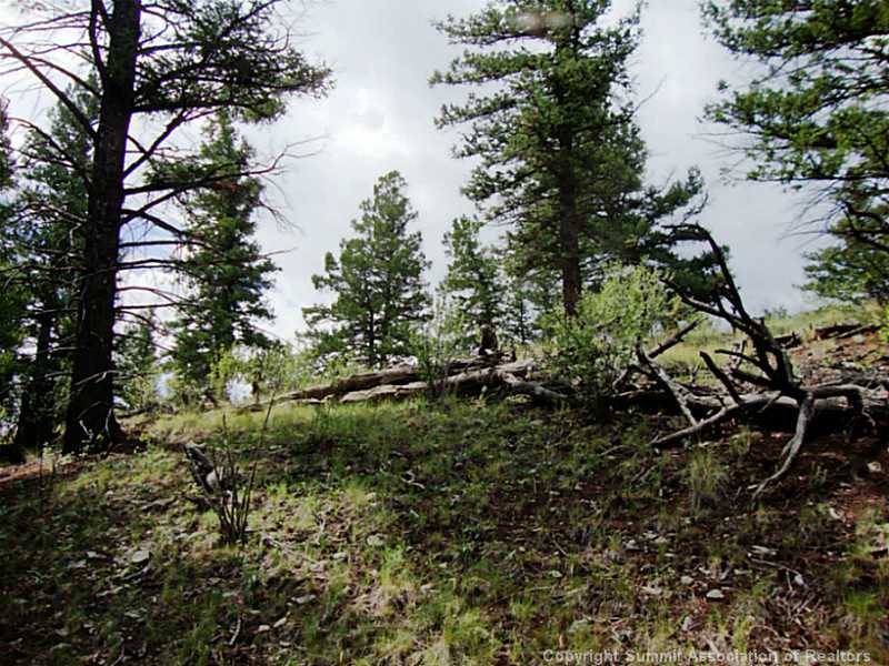 174 Ridge Road Fairplay, CO 80440 - Photo 16 of 25 Land/Lot.