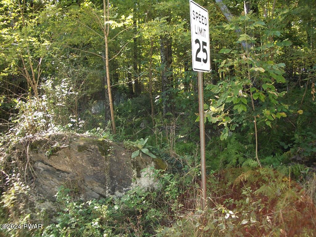 Lot 3 Gilpin Road Newfoundland, PA 18445 - Photo 5 of 5