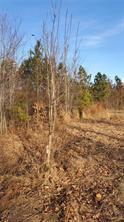 Friend Road Blackstone, VA 23824 - Photo 24 of 26 Gallery Image 24