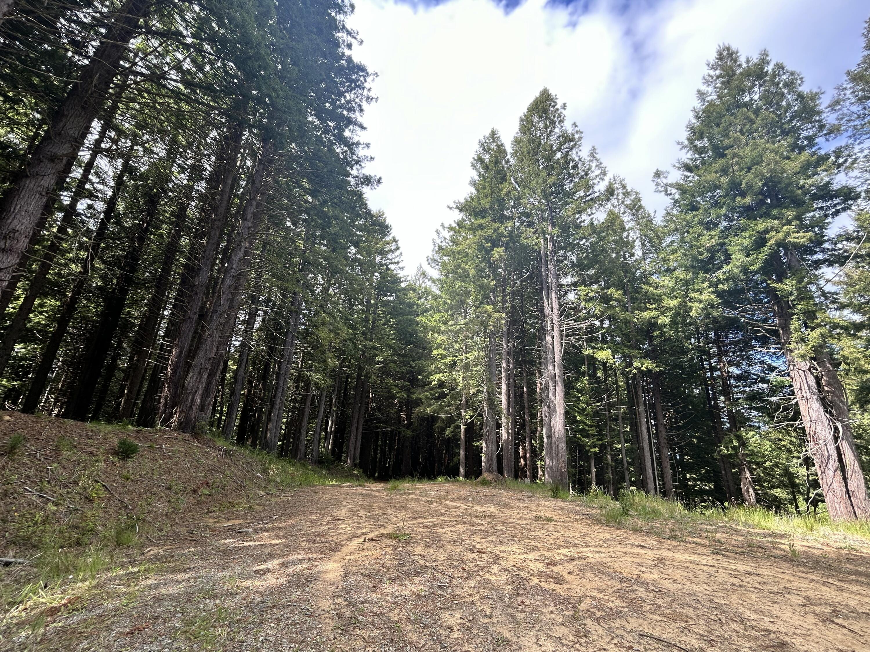 0 May Road Eureka, CA 95503 - Photo 4 of 10
