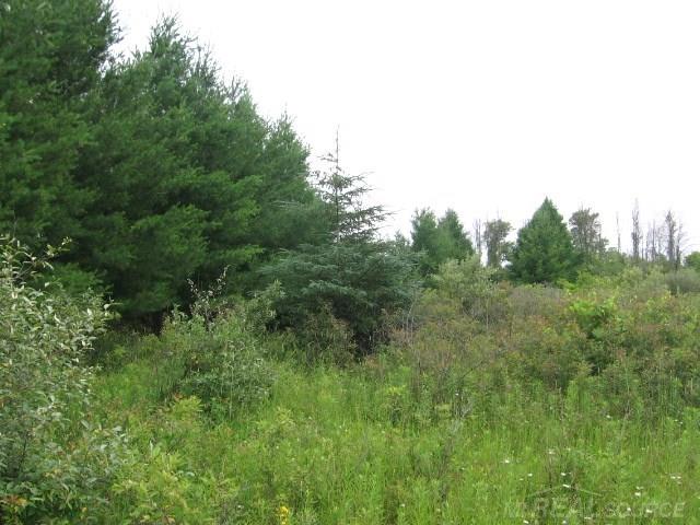 Tbd Sheridan Line Lexington, MI 48450 - Photo 8 of 14