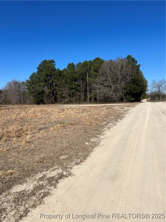 Woodys Farm Road Lumberton, NC 28360 - Photo 1 of 5 Gallery Image 1