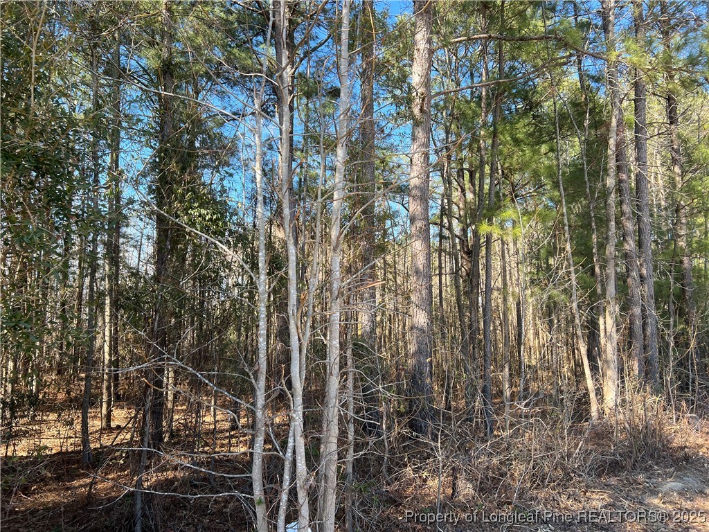 Woodys Farm Road Lumberton, NC 28360 - Photo 2 of 5 Gallery Image 2